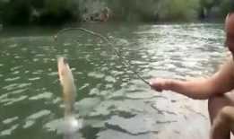 野外爱爱视频,揭秘户外浪漫瞬间